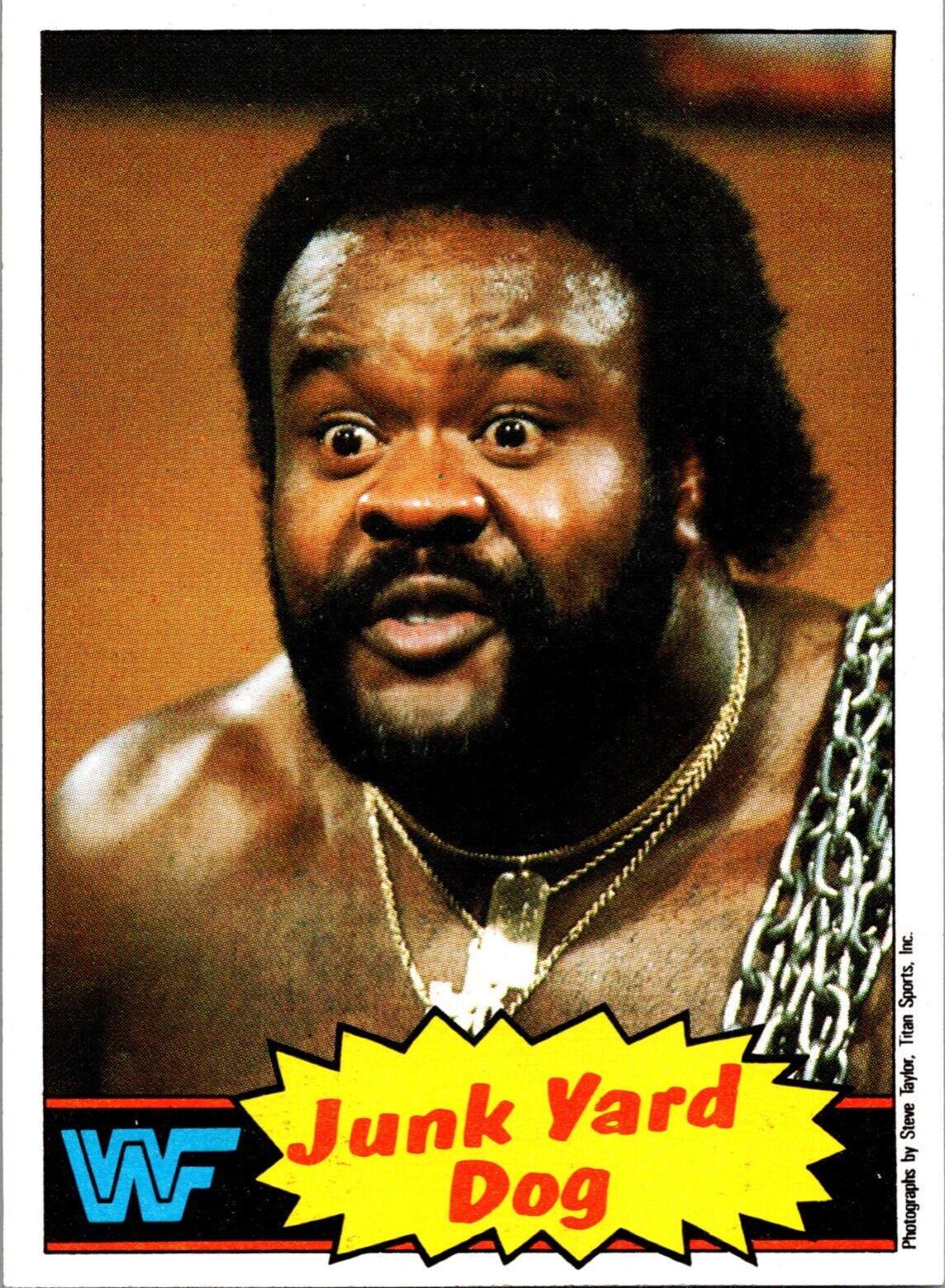 Junkyard Dog #4