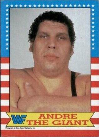 Andre the Giant #2