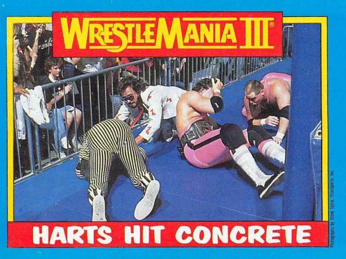 Hart Foundation, Danny Davis #57