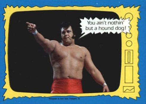 Honky Tonk Man #73