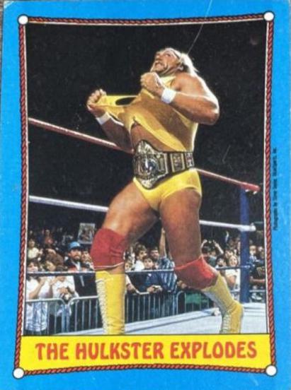 Hulk Hogan #26