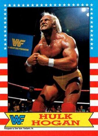 Hulk Hogan #3