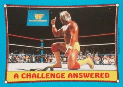 Hulk Hogan #36