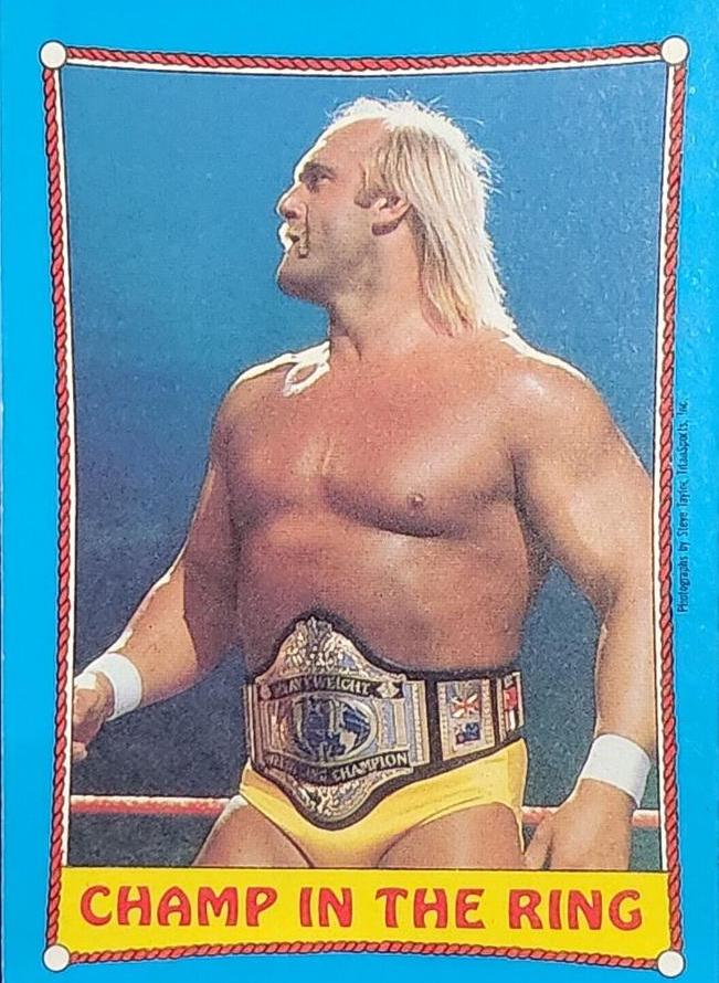 Hulk Hogan #37