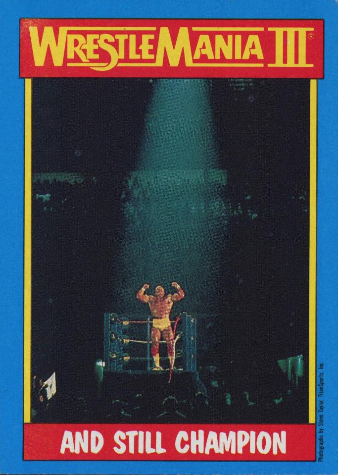 Hulk Hogan #56
