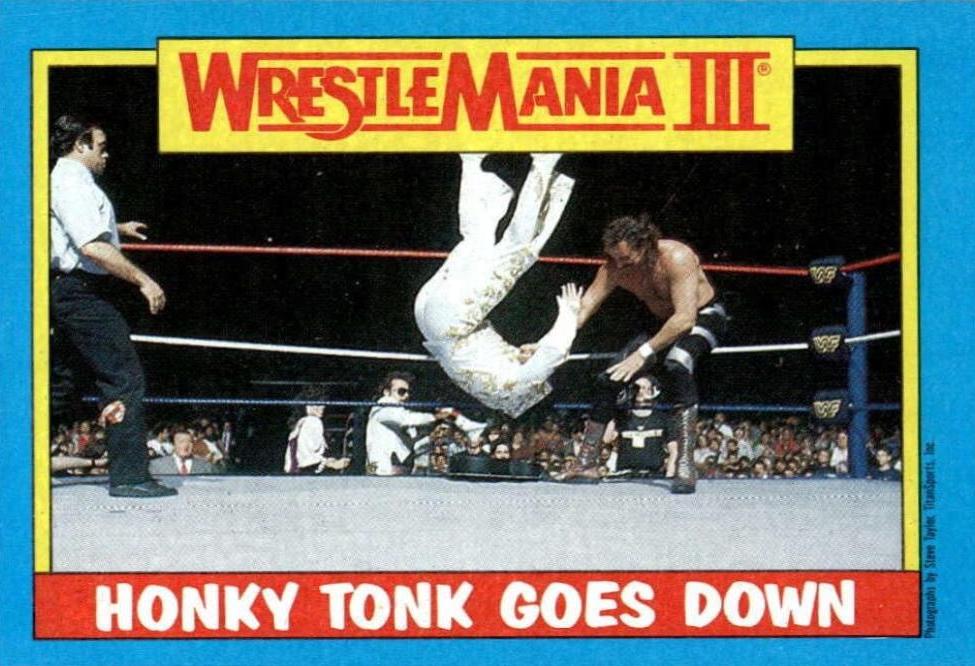 Jake The Snake Roberts, Honky Tonk Man #52