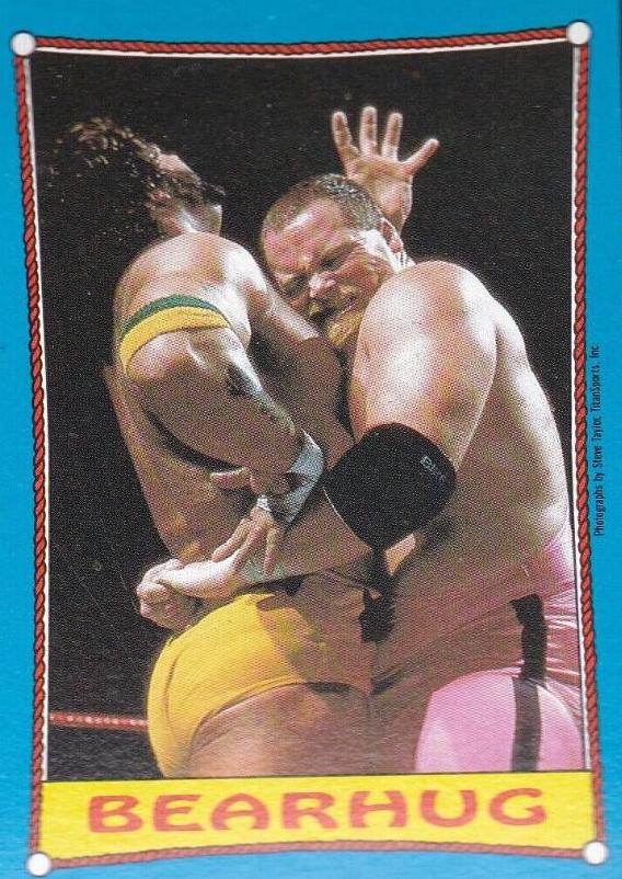 Jim Neidhart, Billy Jack Haynes #59