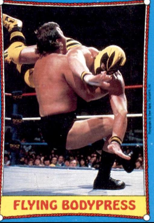 Killer Bees #47