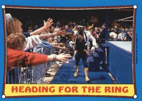 Koko B. Ware #39