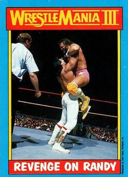 Ricky Steamboat, Randy Savage #50