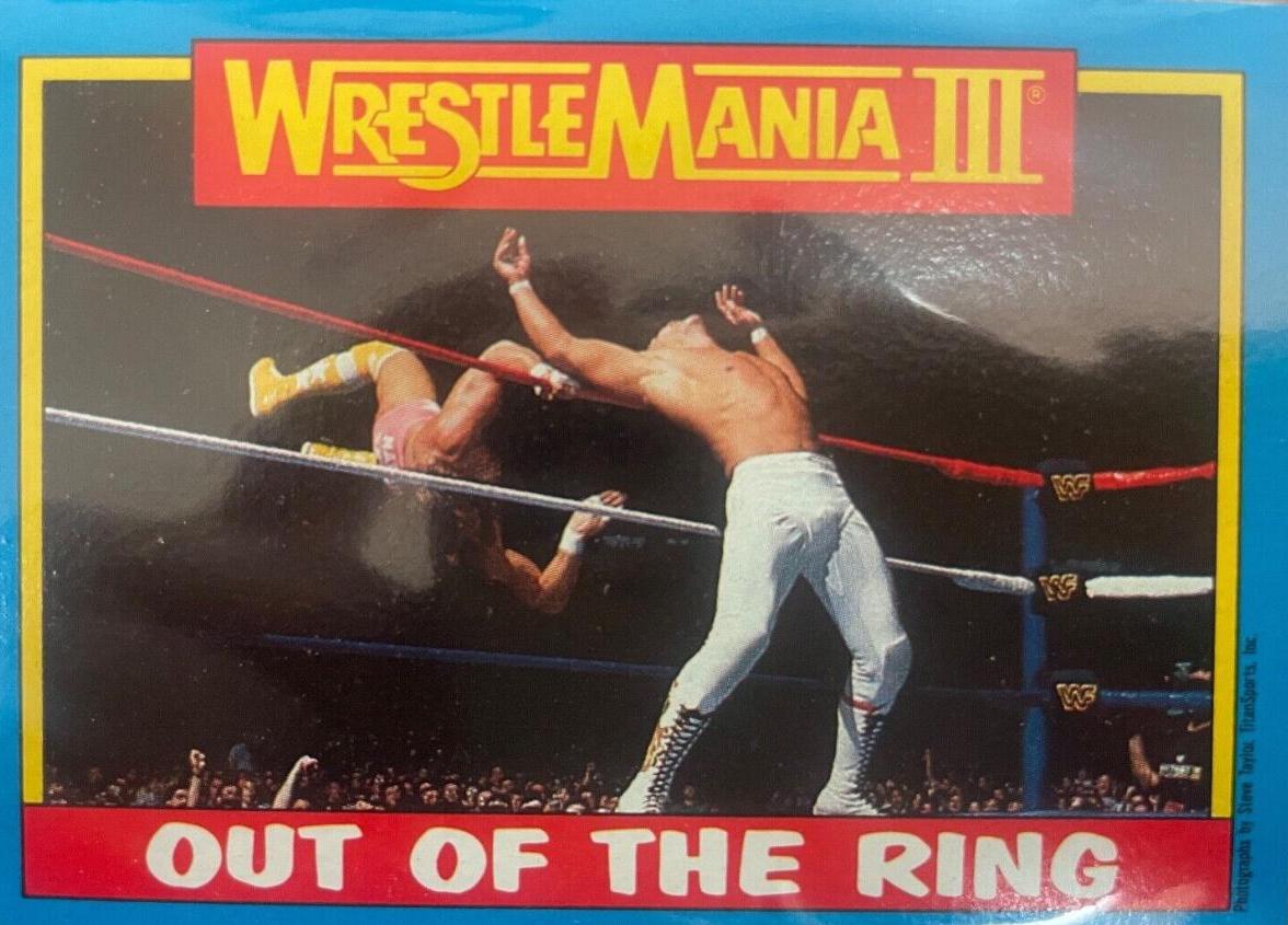 Ricky Steamboat, Randy Savage #55