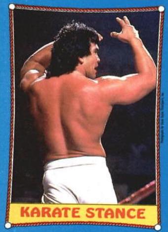 Ricky The Dragon Steamboat #43