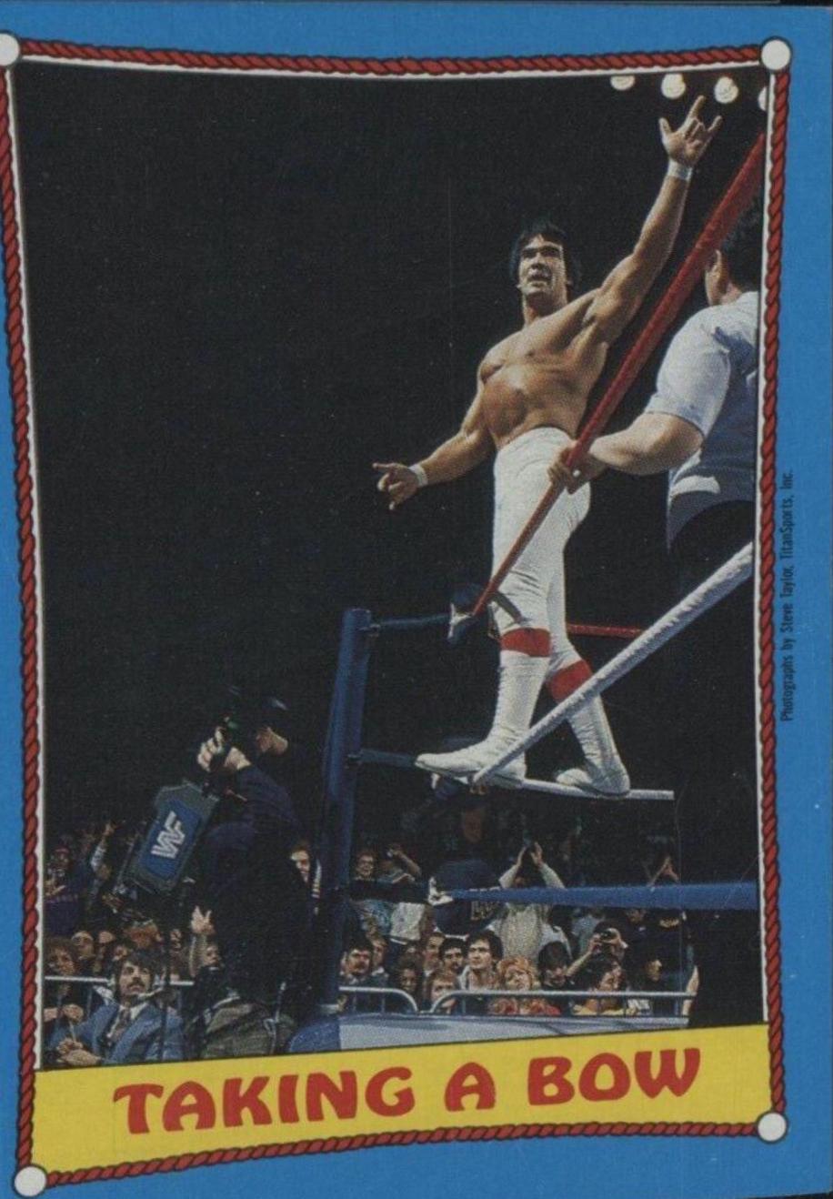 Ricky The Dragon Steamboat #65