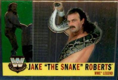Jake 'The Snake' Roberts #79