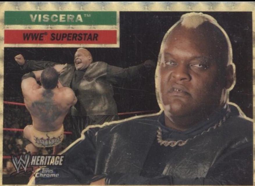 Viscera [Superfractor] #31