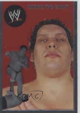 Andre The Giant #89