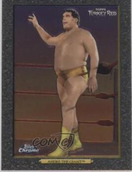 Andre The Giant #95