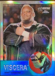Viscera [Refractor] #30