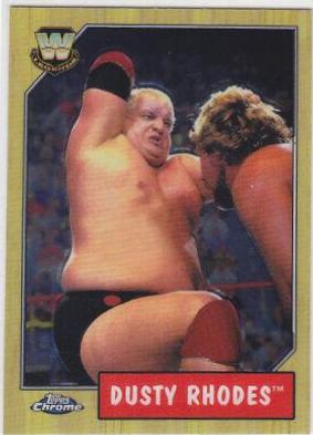 Dusty Rhodes #74