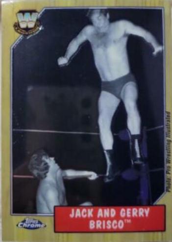 Jack and Gerry Brisco #88