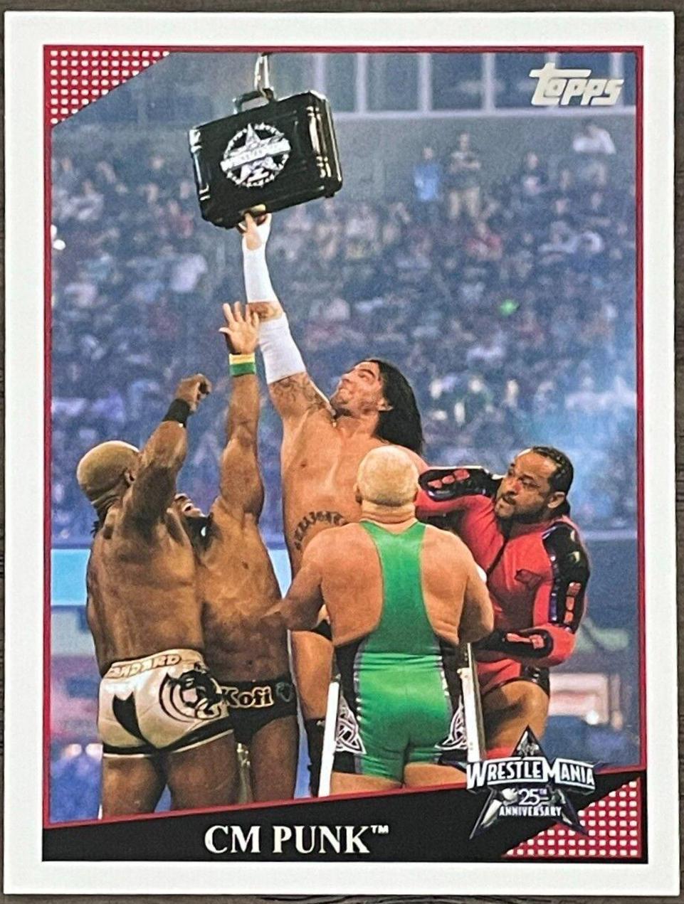 CM Punk #79