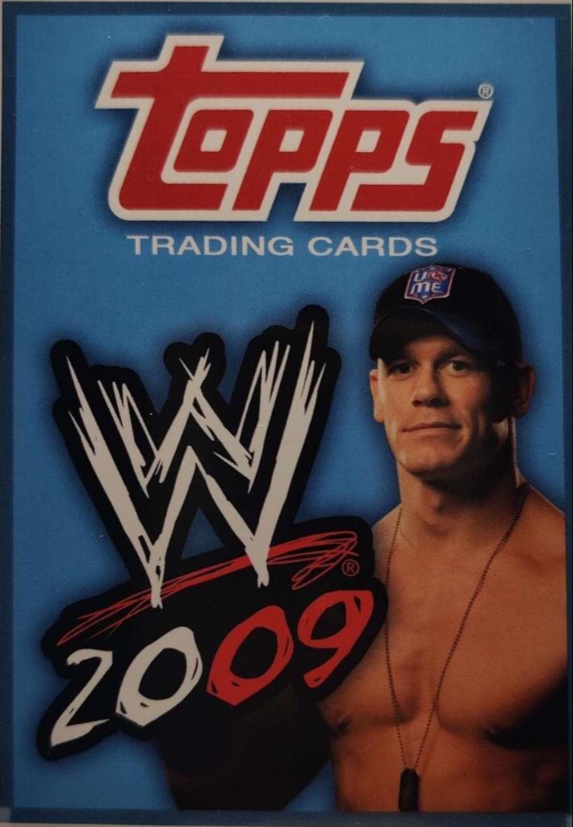 Checklist, John Cena #90