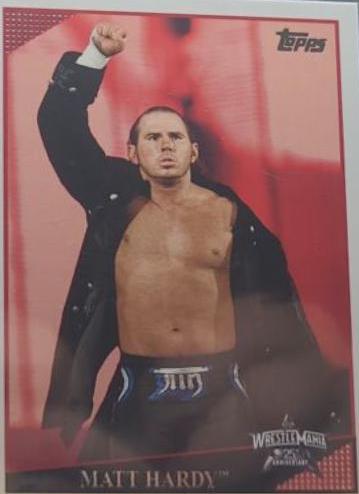 Matt Hardy #82