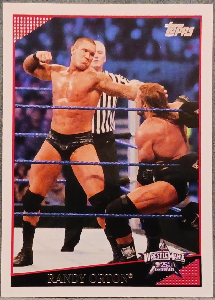 Randy Orton #87