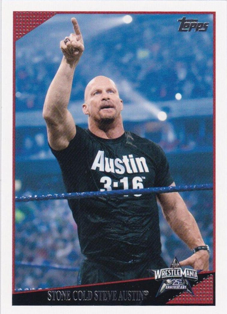 Stone Cold Steve Austin #89