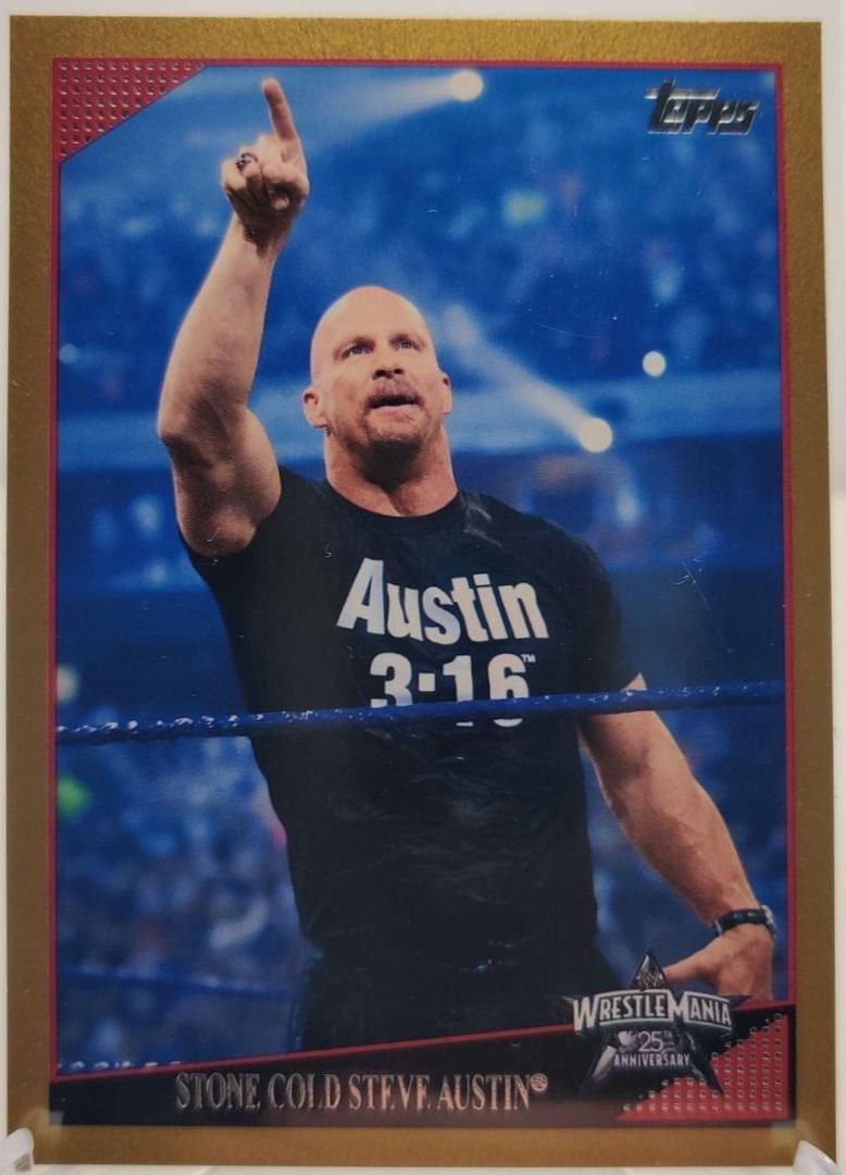 Stone Cold Steve Austin [Gold] #89
