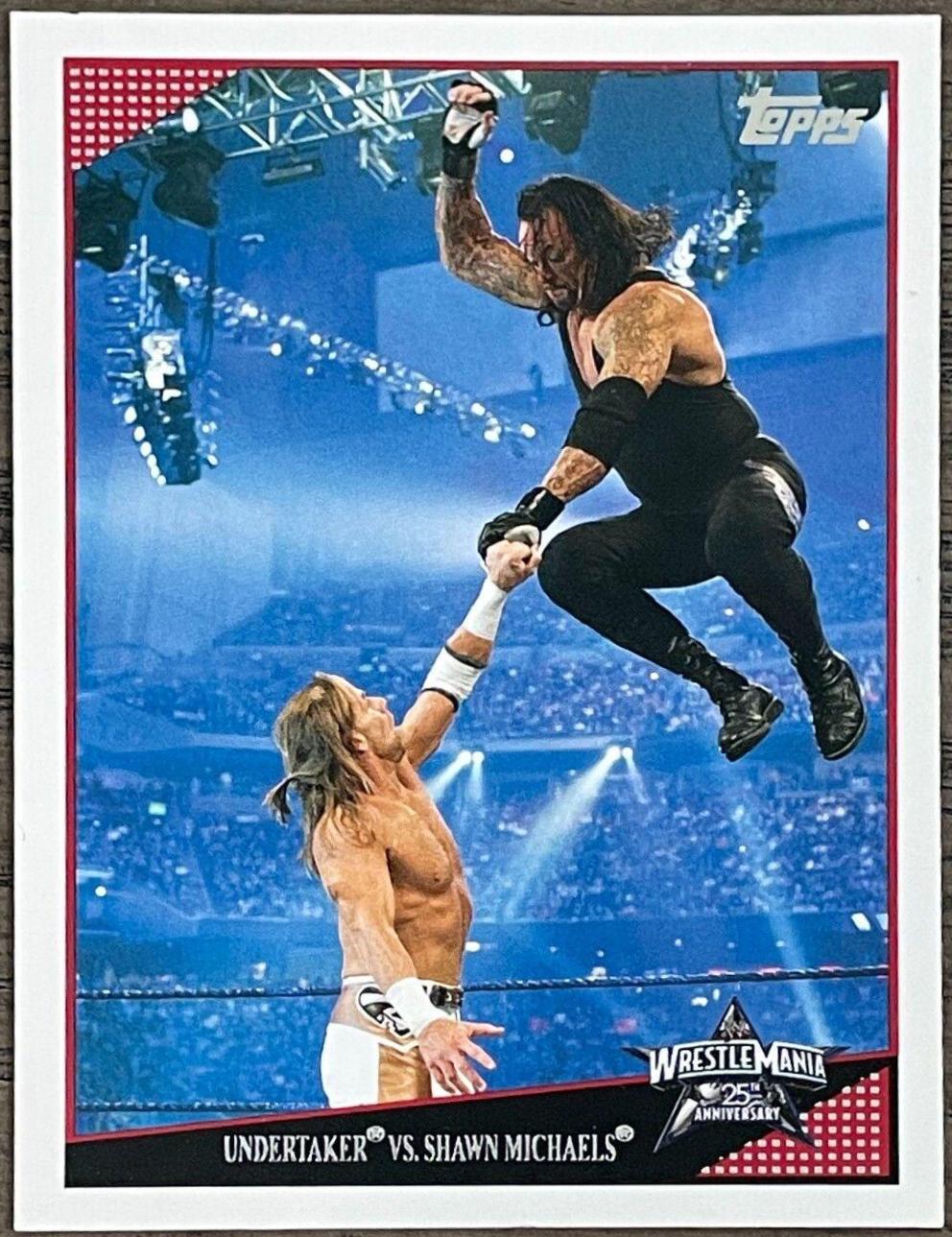 Undertaker, Shawn Michaels #84