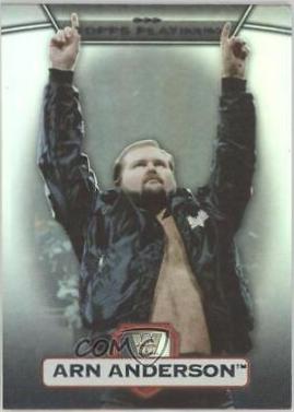 Arn Anderson [Rainbow] #30