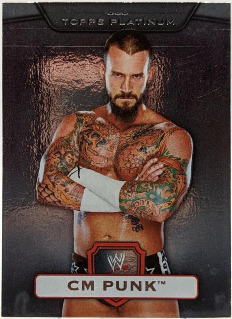 CM Punk #48