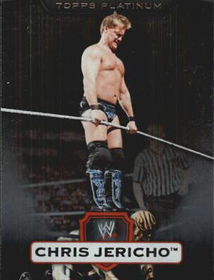 Chris Jericho #66