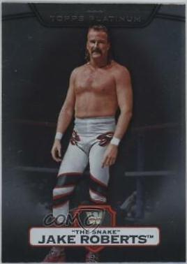 Jake The Snake Roberts #22