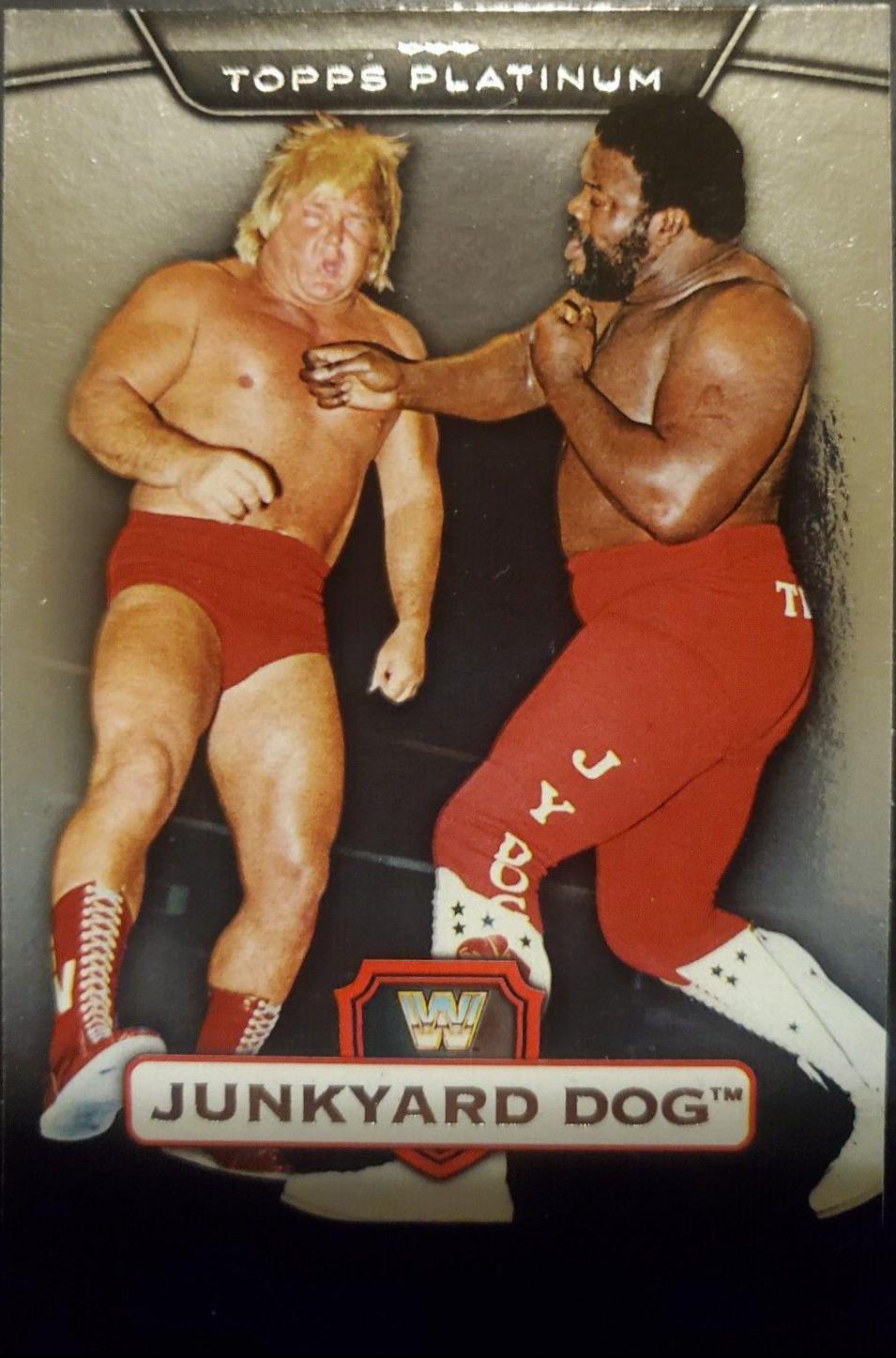 Junkyard Dog #119