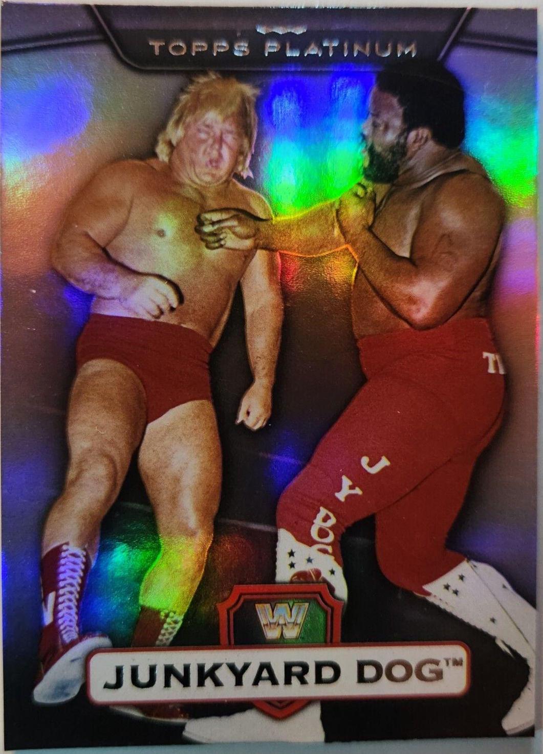 Junkyard Dog [Rainbow] #119