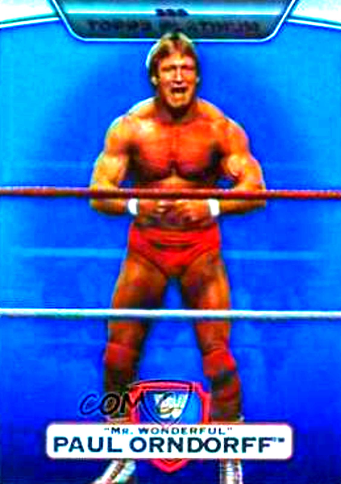 Paul Mr. Wonderful Orndorff [Blue] #105