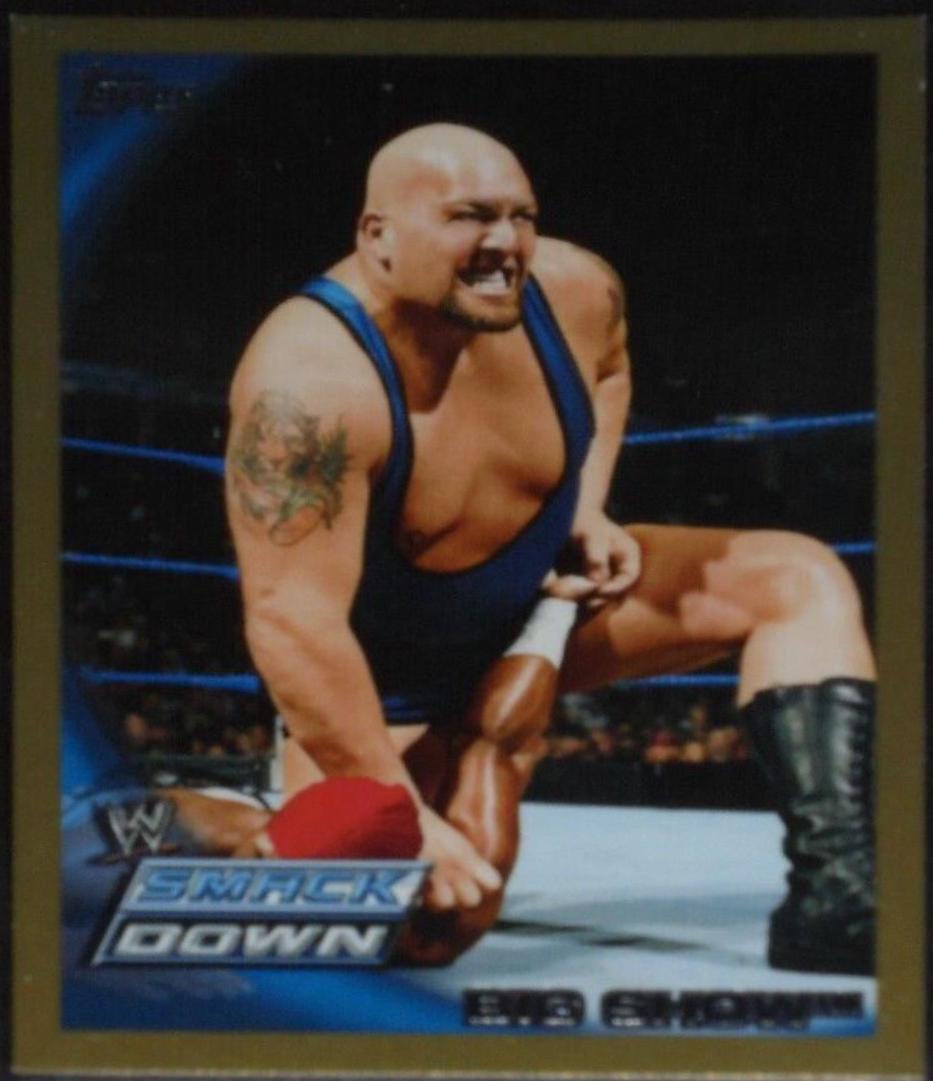 Big Show [Gold] #22
