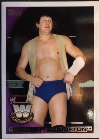 Cowboy' Bob Orton #106