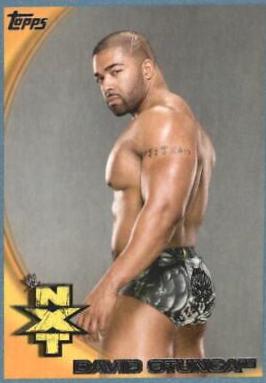 David Otunga [Blue] #70