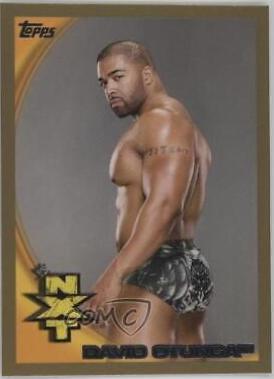 David Otunga [Gold] #70