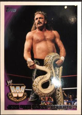 Jake 'The Snake' Roberts #94