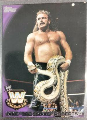 Jake 'The Snake' Roberts [Silver] #94