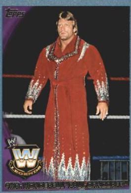 Mr. Wonderful' Paul Orndorff [Blue] #85