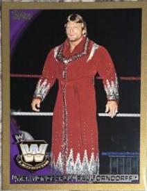 Mr. Wonderful' Paul Orndorff [Gold] #85
