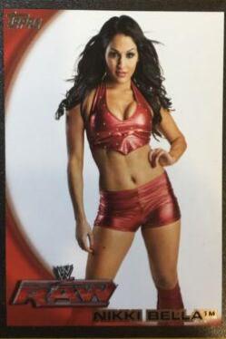 Nikki Bella [Silver] #8