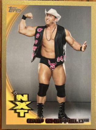 Skip Sheffield [Gold] #66