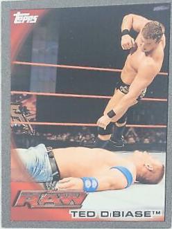 Ted DiBiase Jr. [Silver] #40