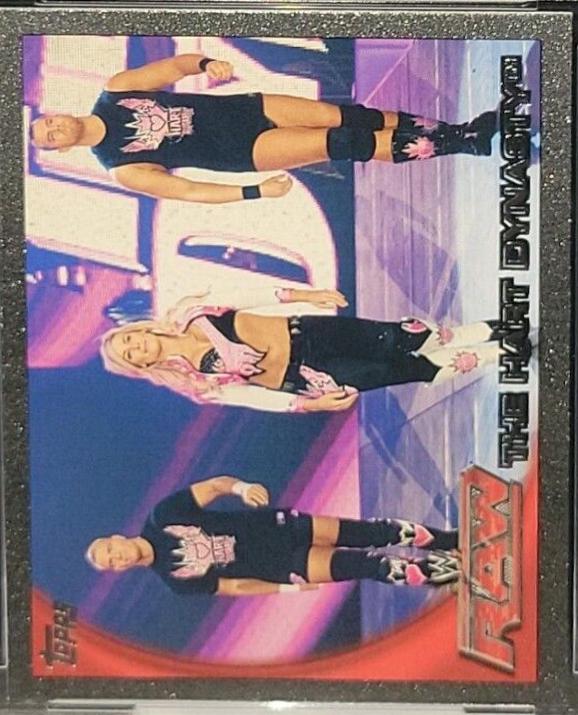The Hart Dynasty [Silver] #77